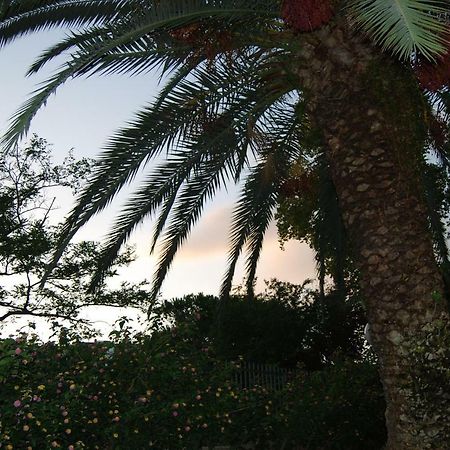 Roma Eur Bed & Breakfast Екстер'єр фото