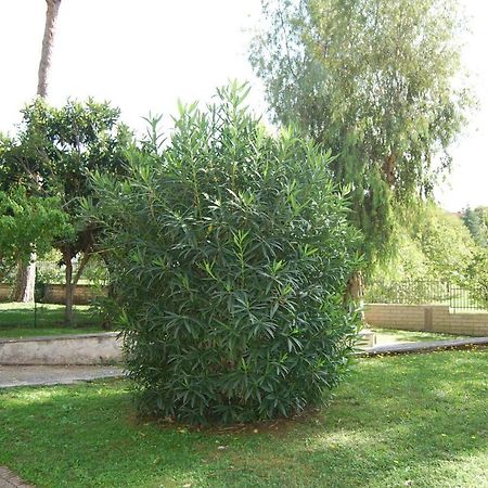 Roma Eur Bed & Breakfast Екстер'єр фото