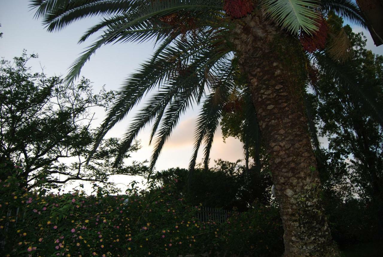 Roma Eur Bed & Breakfast Екстер'єр фото